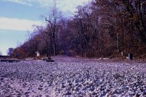 View southwest of bluffs and old beach road